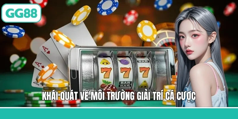 Khái quát về môi trường giải trí cá cược