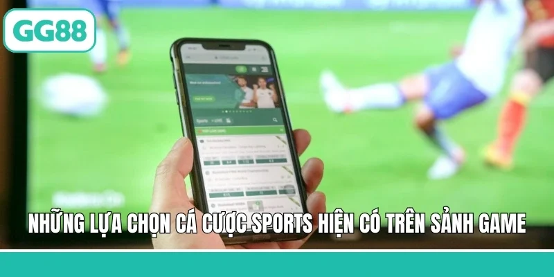 Những lựa chọn cá cược sports hiện có trên sảnh game
